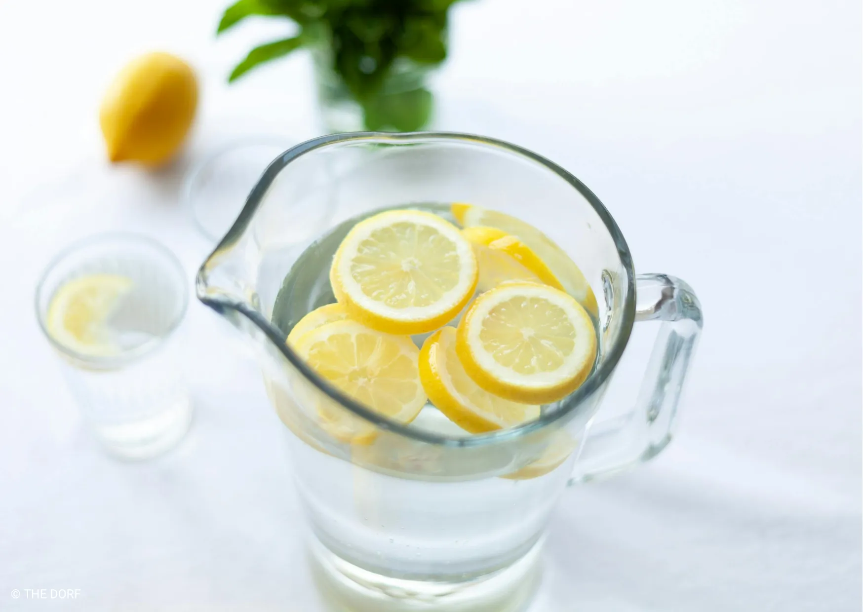 Ein Krug mit Wasser und Zitronenscheiben, im Hintergrund eine Zitrone und ein Glas.