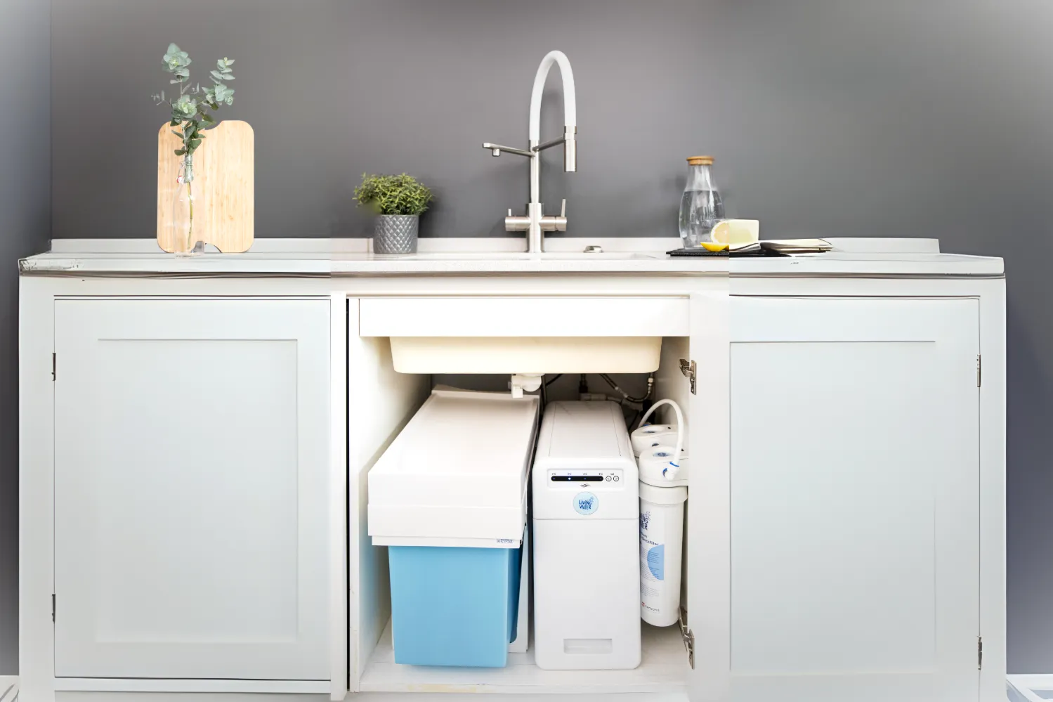 Moderne Kücheneinheit mit Spüle, Wasserhahn, Pflanzen und Wasserfiltersystem.