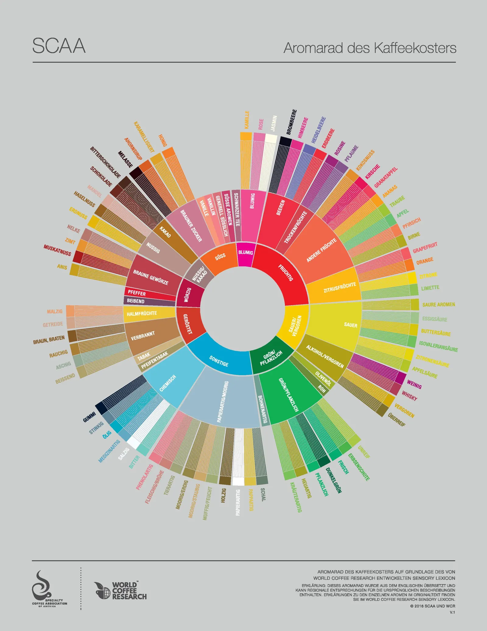 Aromarad des Kaffeekosters mit verschiedenen Aromen und Geschmacksrichtungen in bunten Abschnitten.