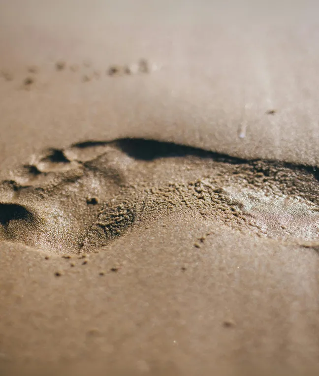 Symbolbild Wasserfußabdruck