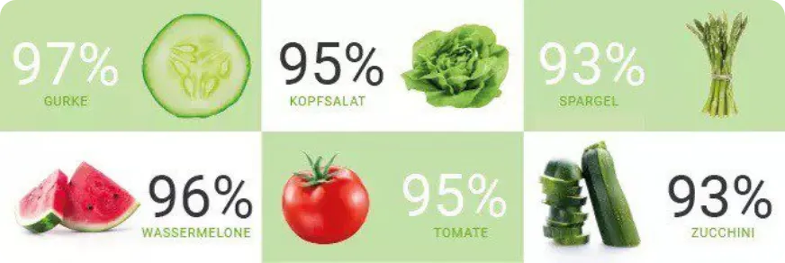 Eine Zusammenstellung von Gemüse und Obst mit Prozentangaben: Gurke (97%), Kopfsalat (95%), Spargel (93%), Wassermelone (96%), Tomate (95%) und Zucchini (93%).