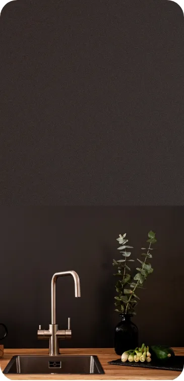 Moderne Küchenspüle mit einer stilvollen Armatur, dunkler Wand und Pflanzenarrangement.