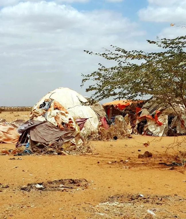 Zeltlager in einer kargen Landschaft mit trockenem Sand und wenigen Bäumen.