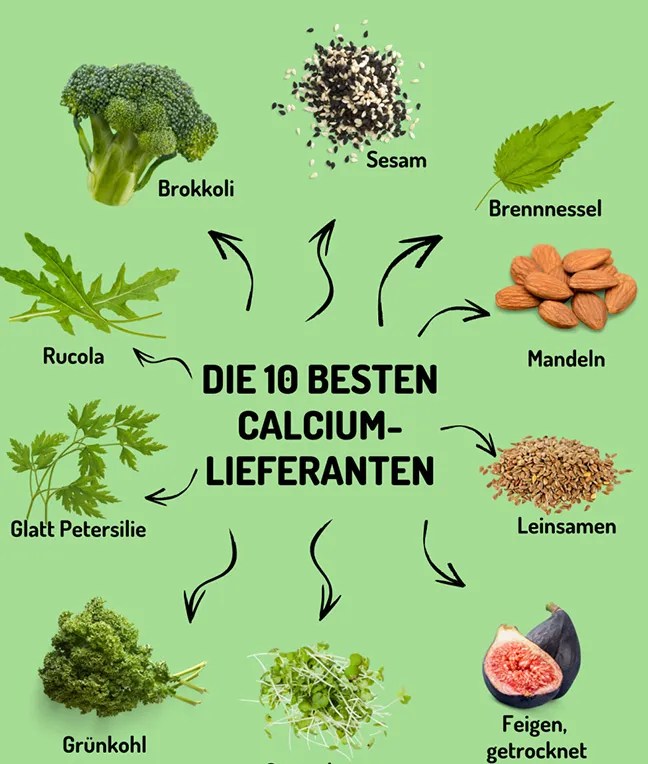Illustration zu Calcium in Lebensmitteln im Kontext von Entkalkungsanlagen und Wasserqualität